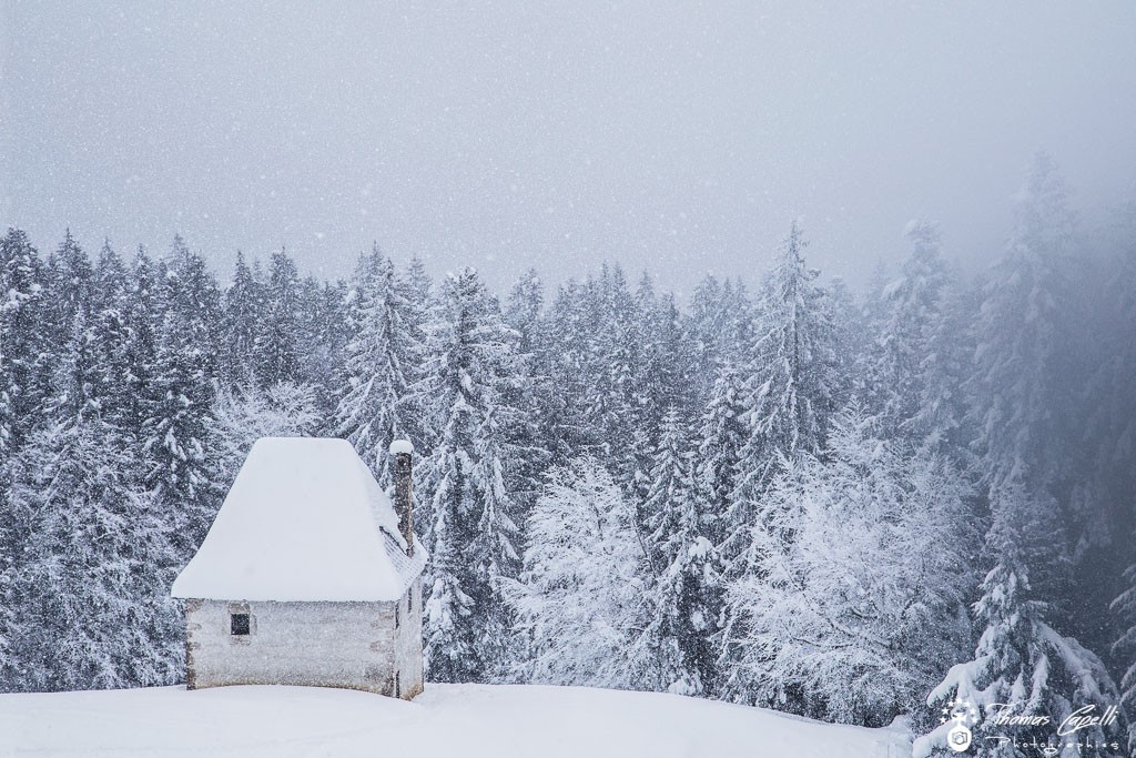 Chutes de neige au Habert du billon - Thomas Capelli