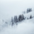tempête de neige en chartreuse - Thomas Capelli