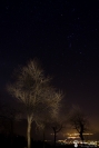 Nuit devant Orion